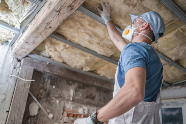 Best Blown-in Insulation  in Unt Vernon, MO