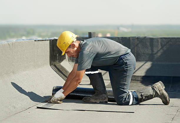 Best Insulation Removal  in Unt Vernon, MO