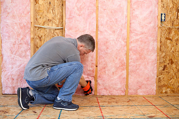 Best Insulation Contractor Near Me  in Unt Vernon, MO